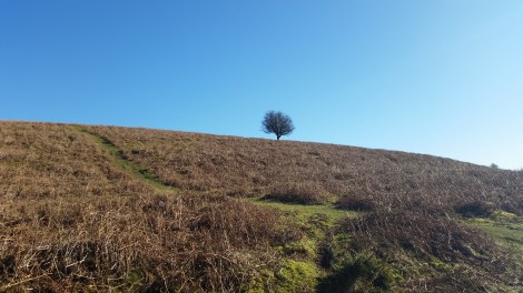 feb 2016 sugarloaf 11