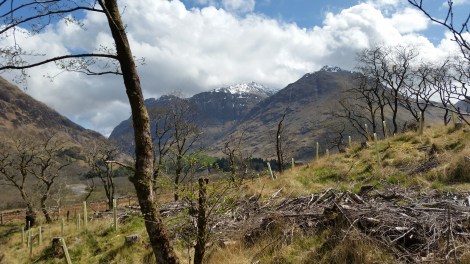 2016-05-05 13.22.31.jpg