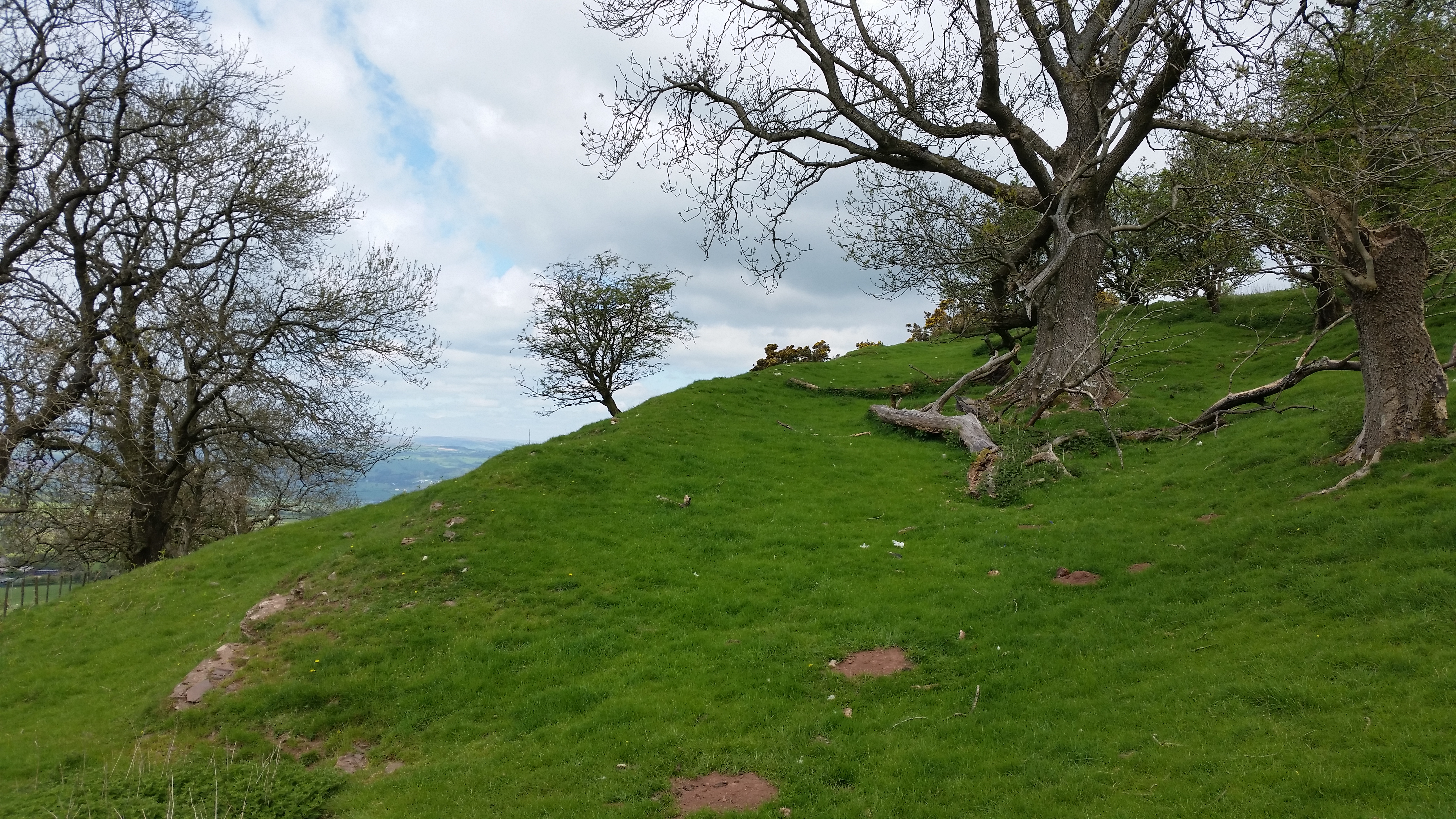 Castell dinas 1 2016 5.jpg