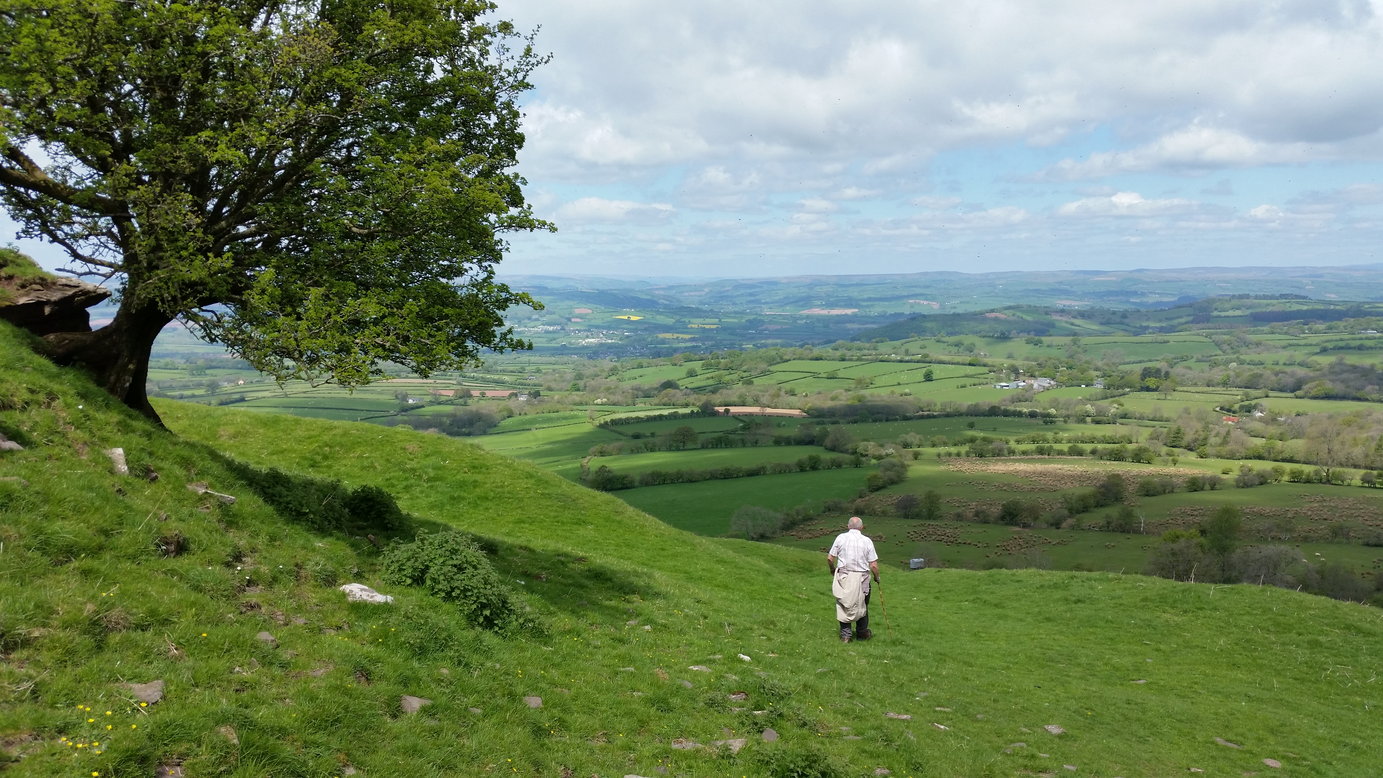 Castell dinas 11 2016 5