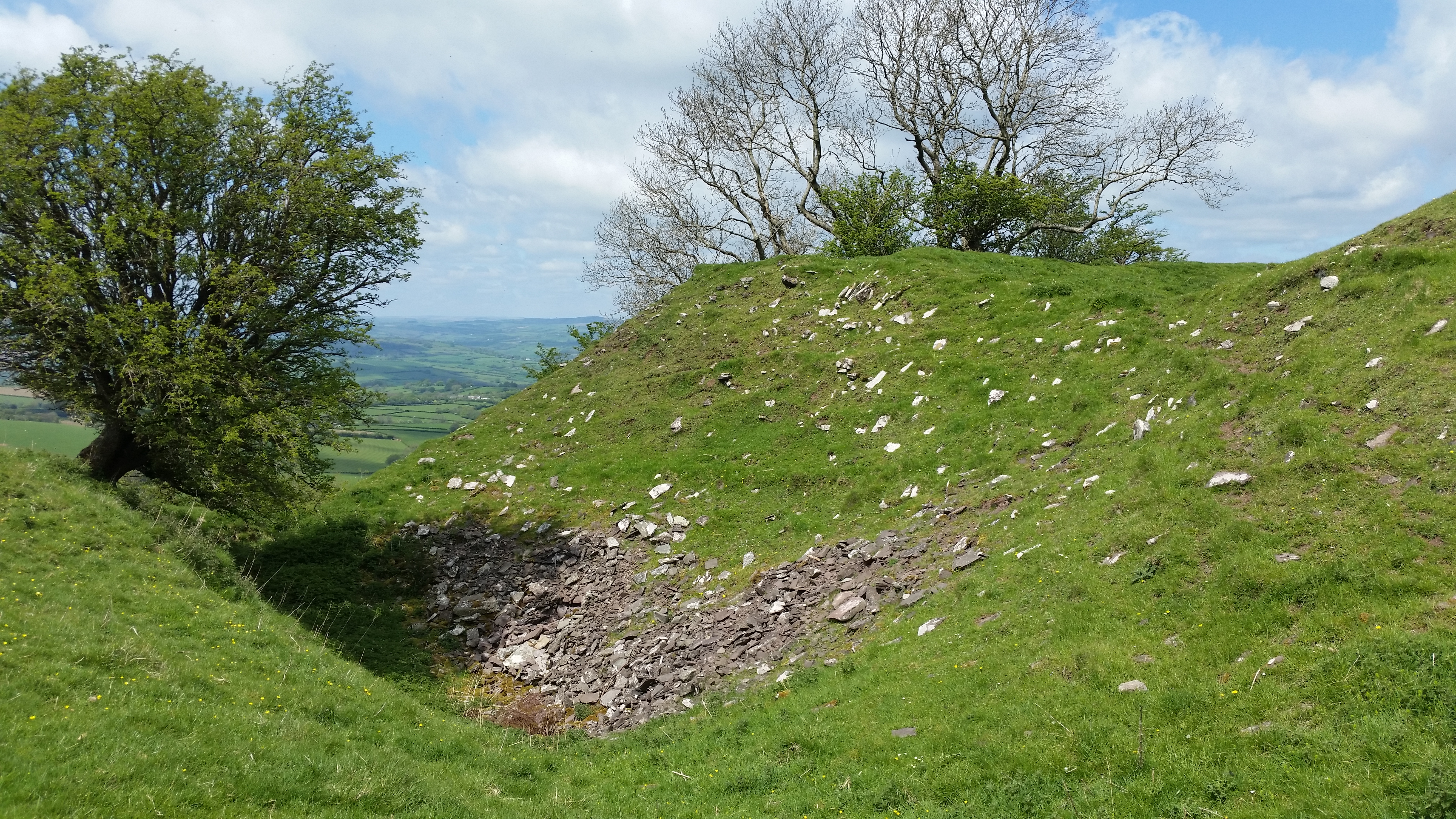 Castell dinas 3 2016 5