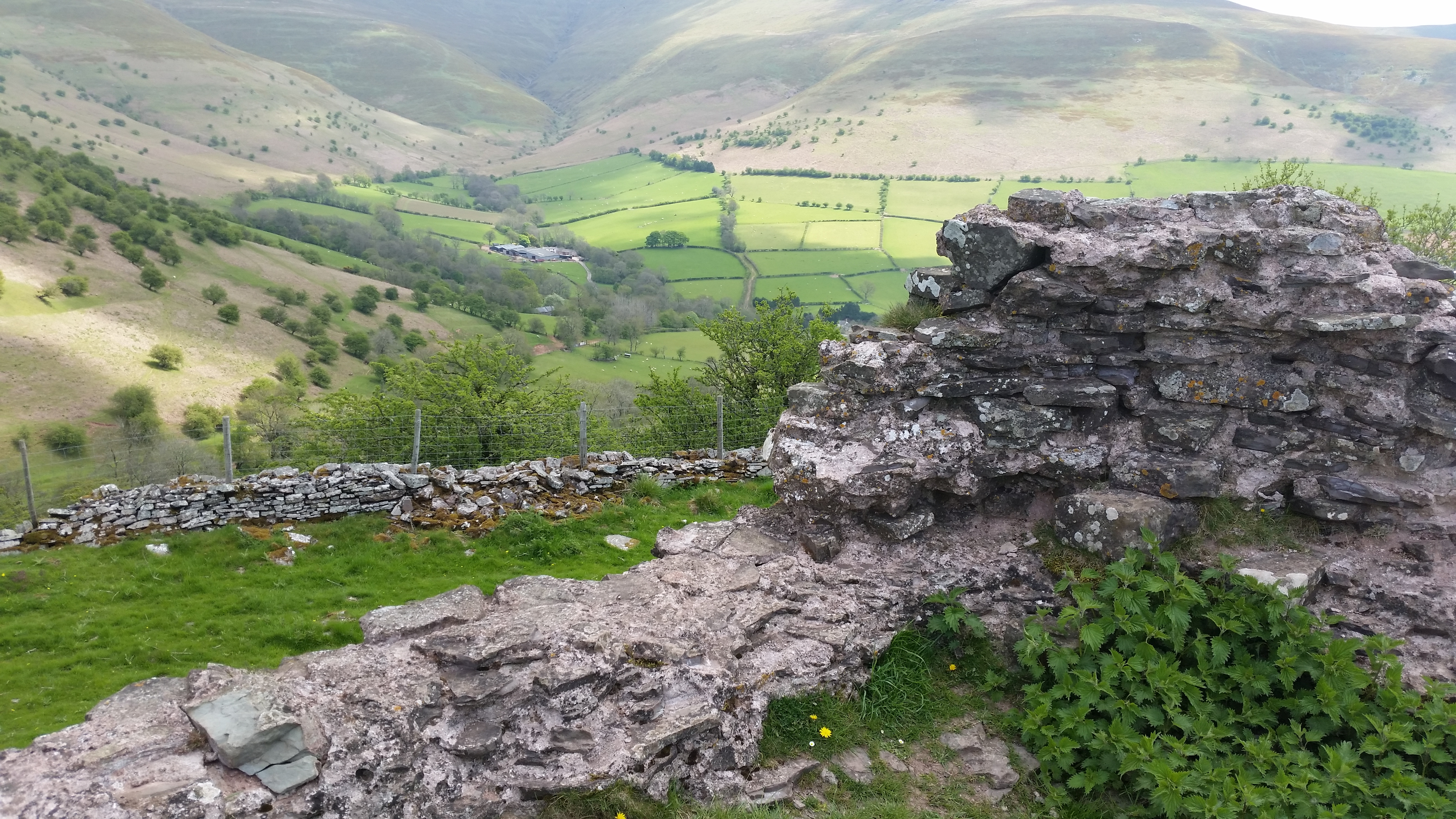 Castell dinas 8 2016 5