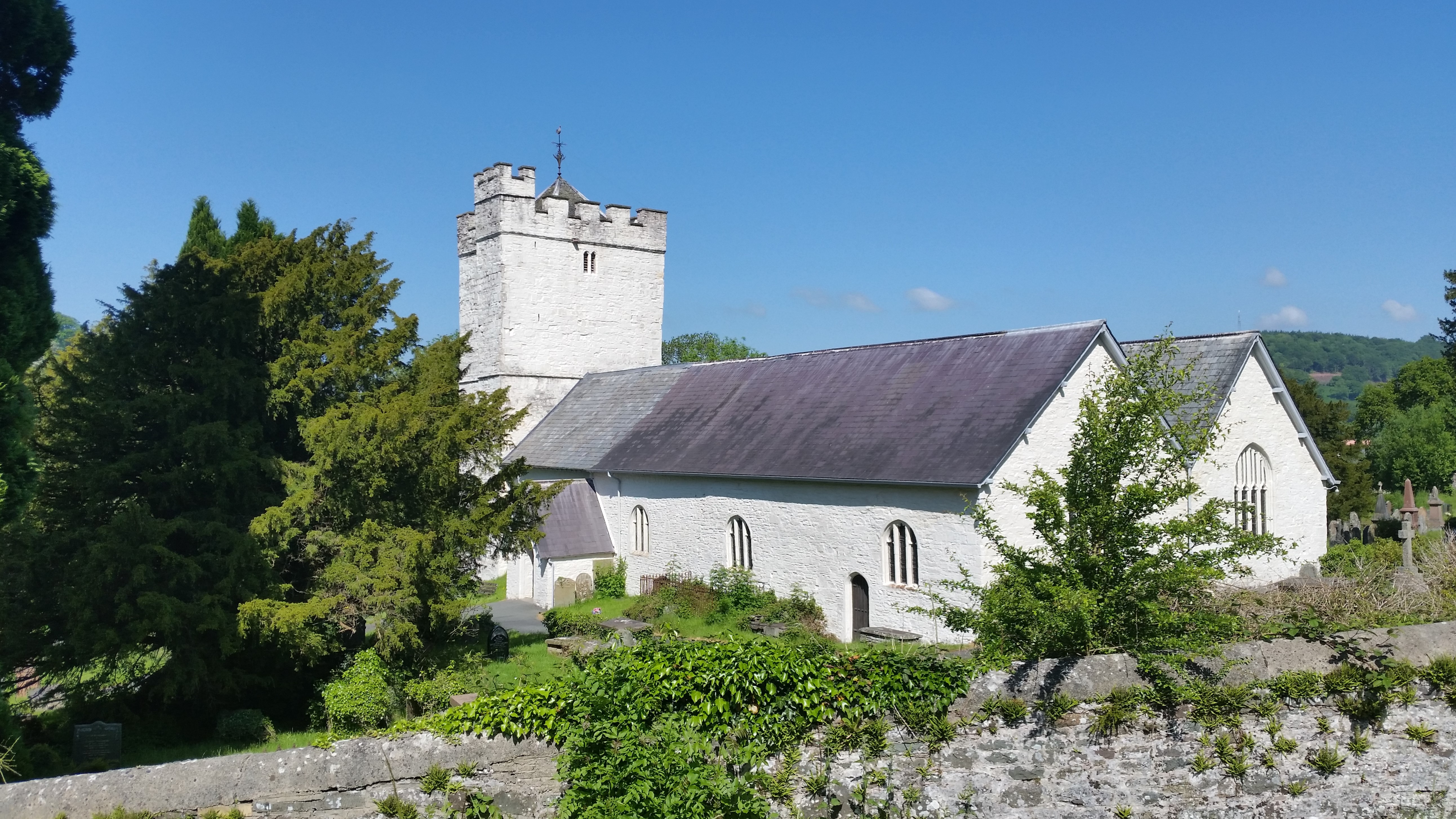 Defynnog 1 june 2016