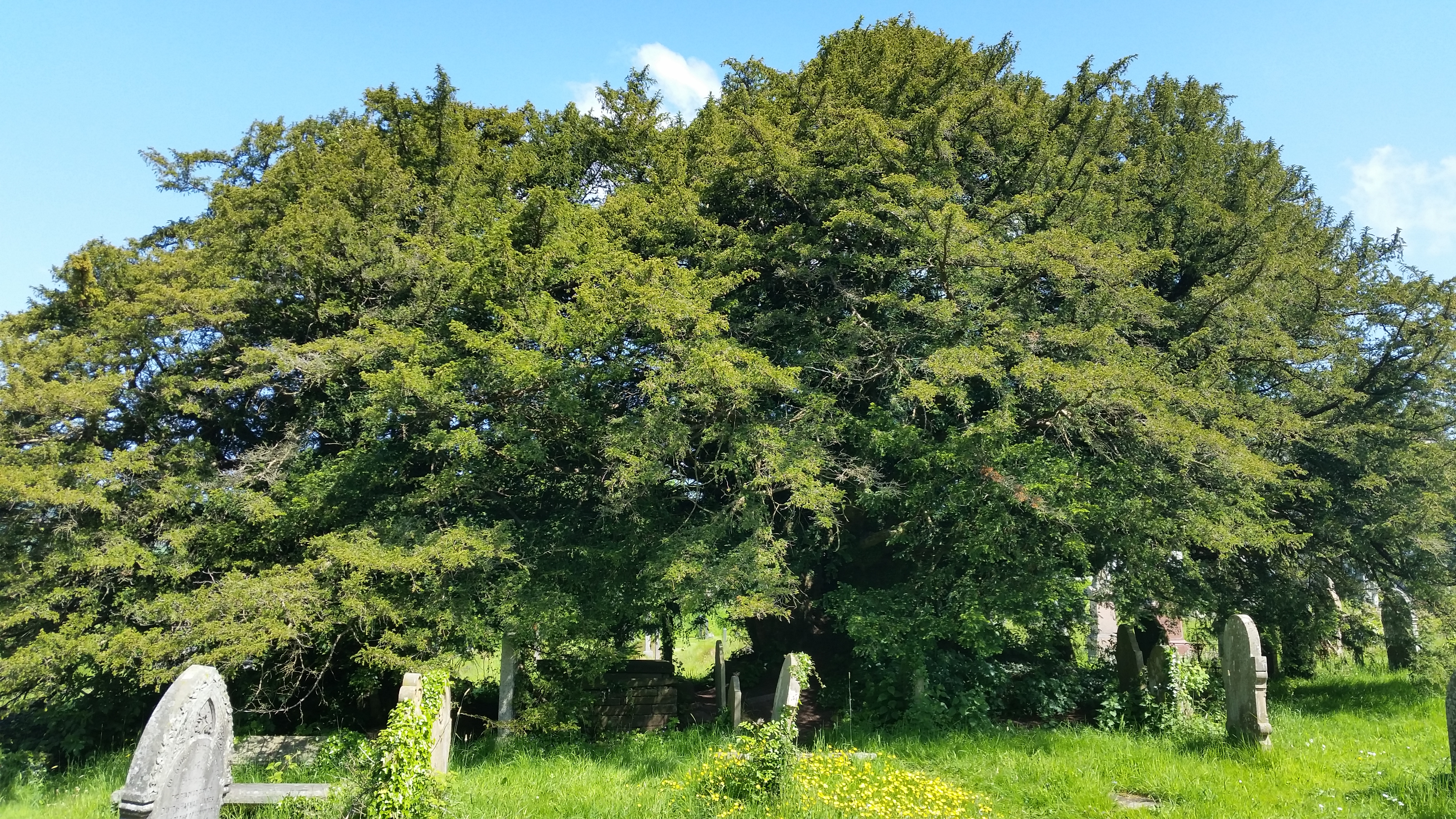 defynnog 21 june 2016