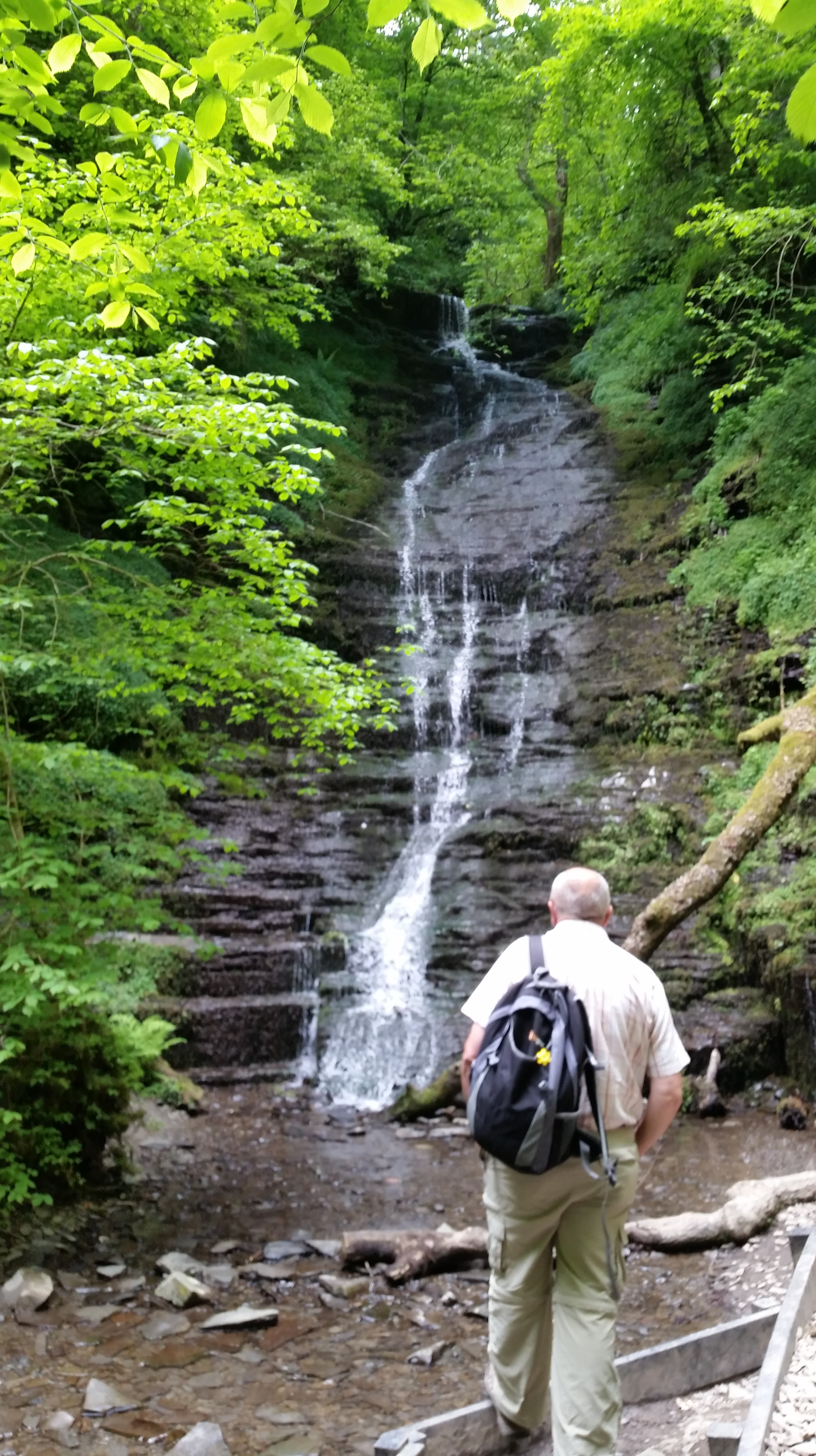 water break its neck 4 june 2016