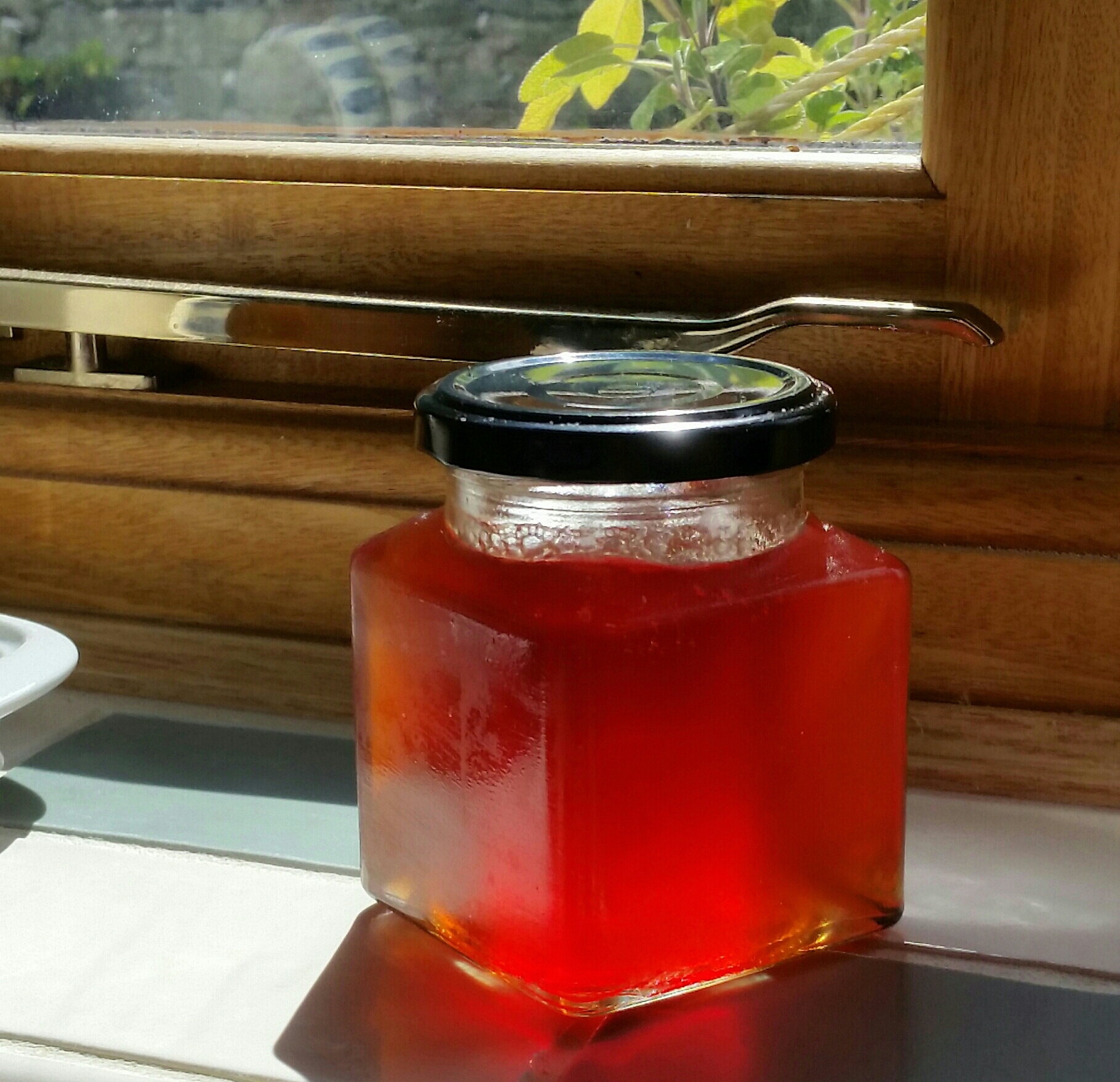 20160828_130406-1-1-1-1