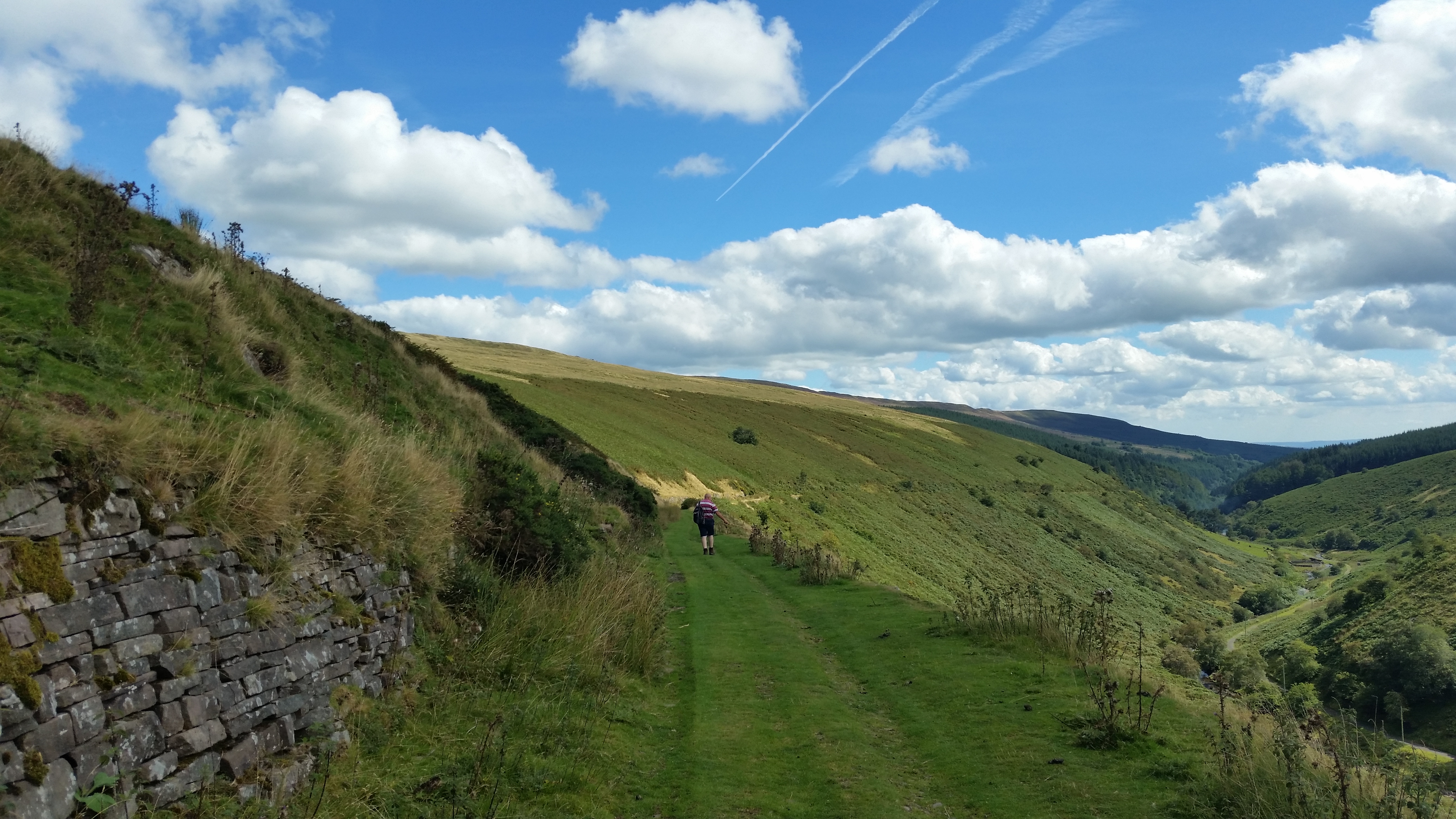 august grwyn fawr 7 2016