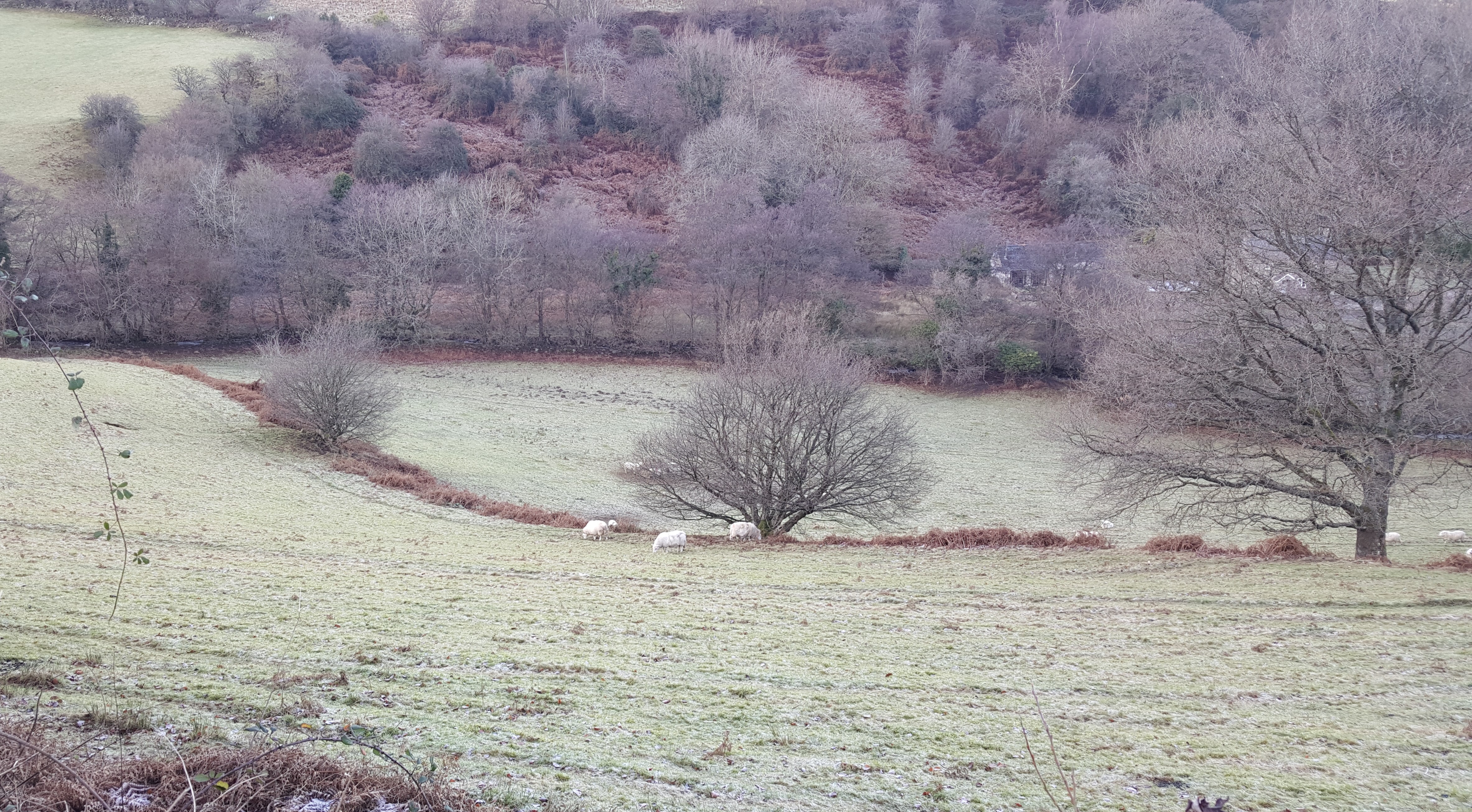 2017-01-02-13-49-59b