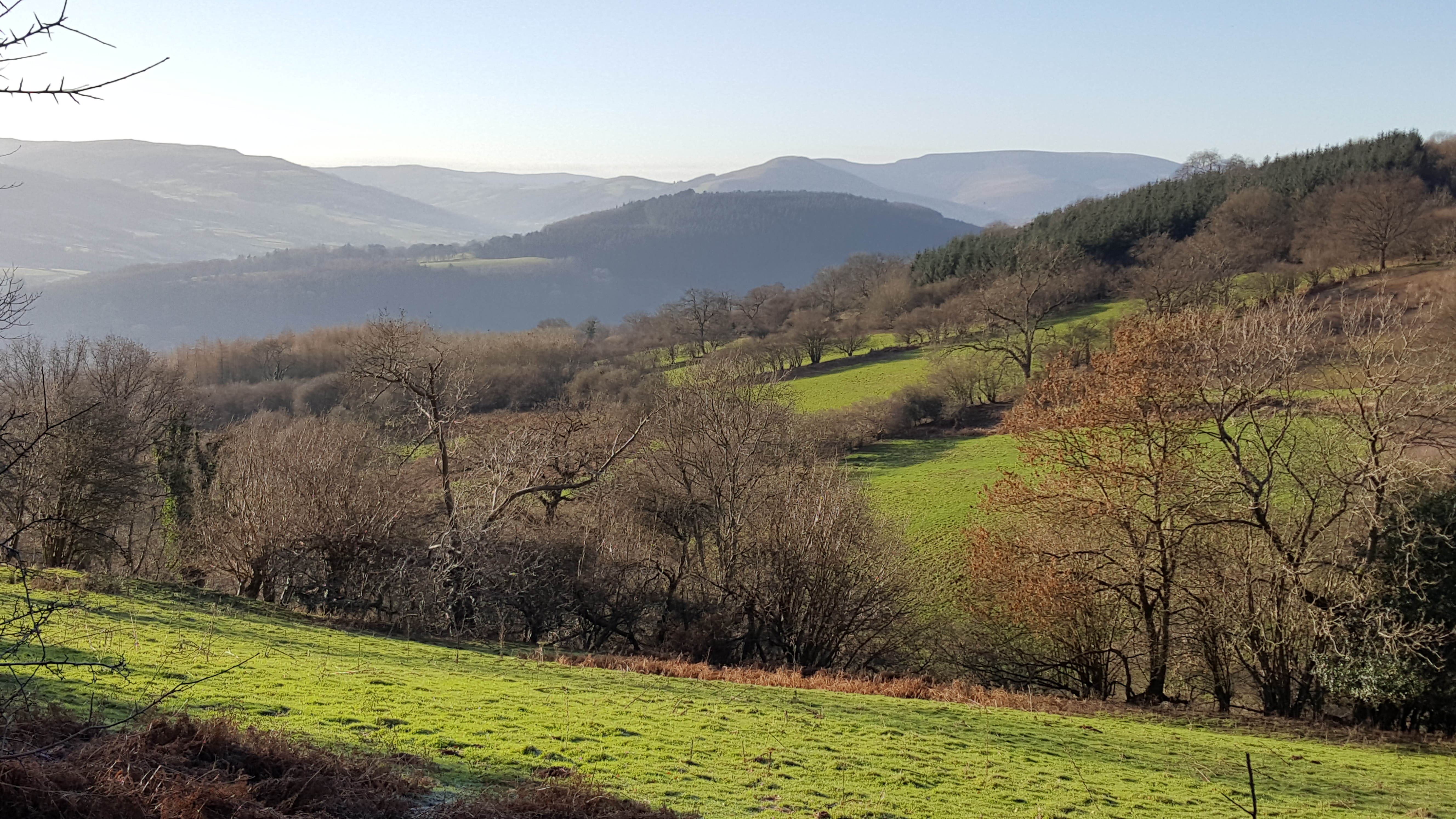 2017-01-05-13-40-37-1