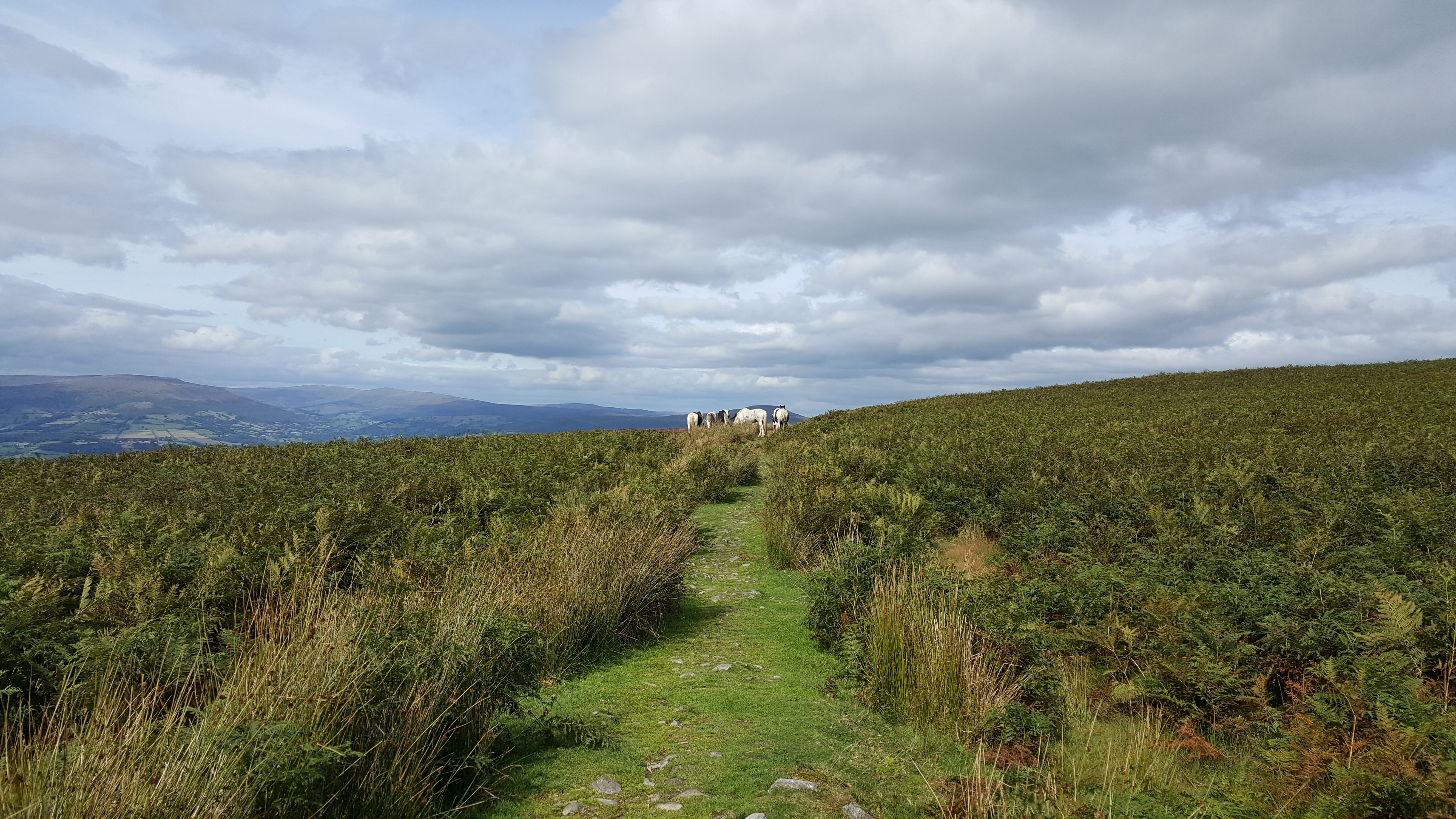 blorenge 2 august 2017.jpg