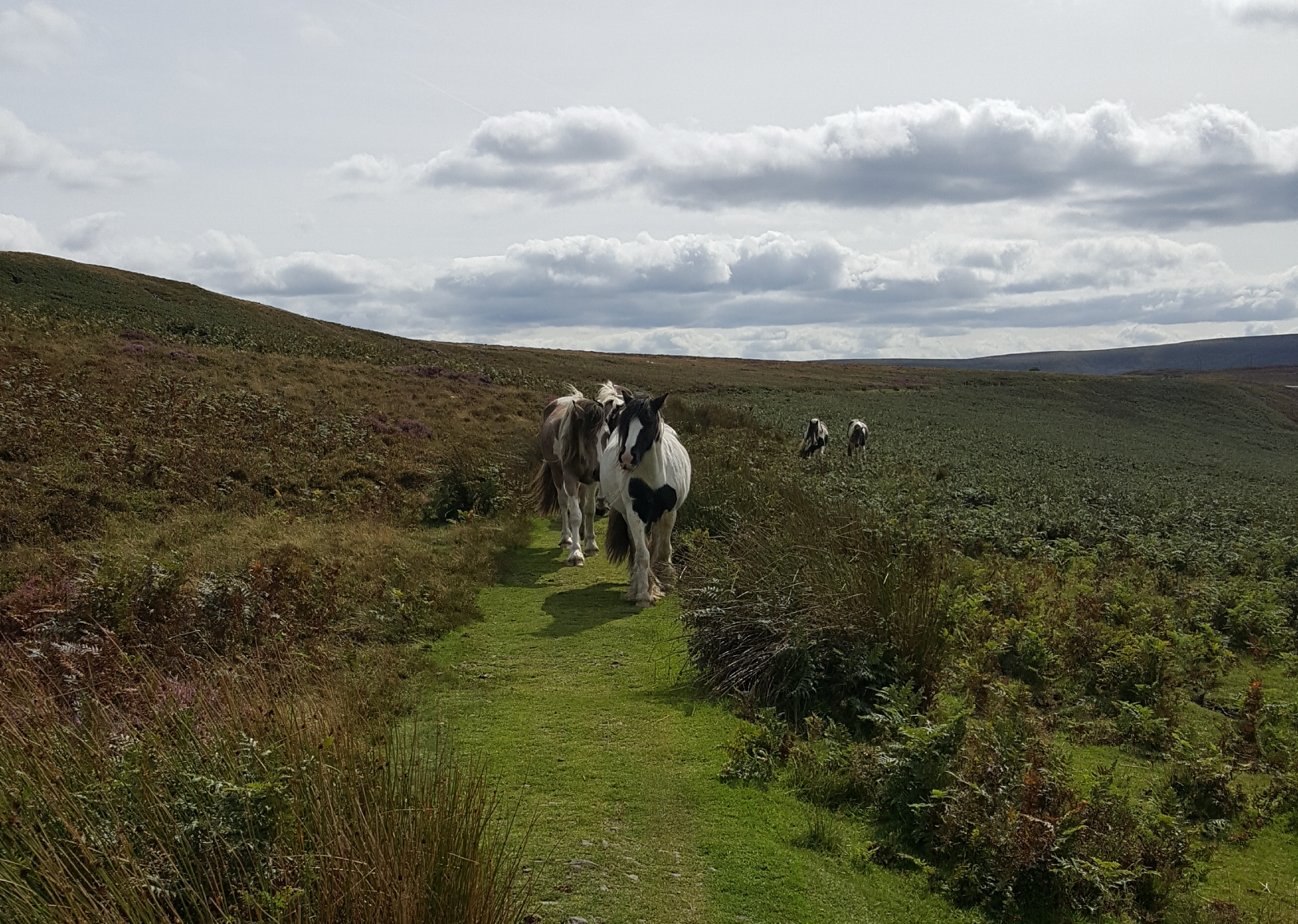 blorenge 26 august 2017.jpg