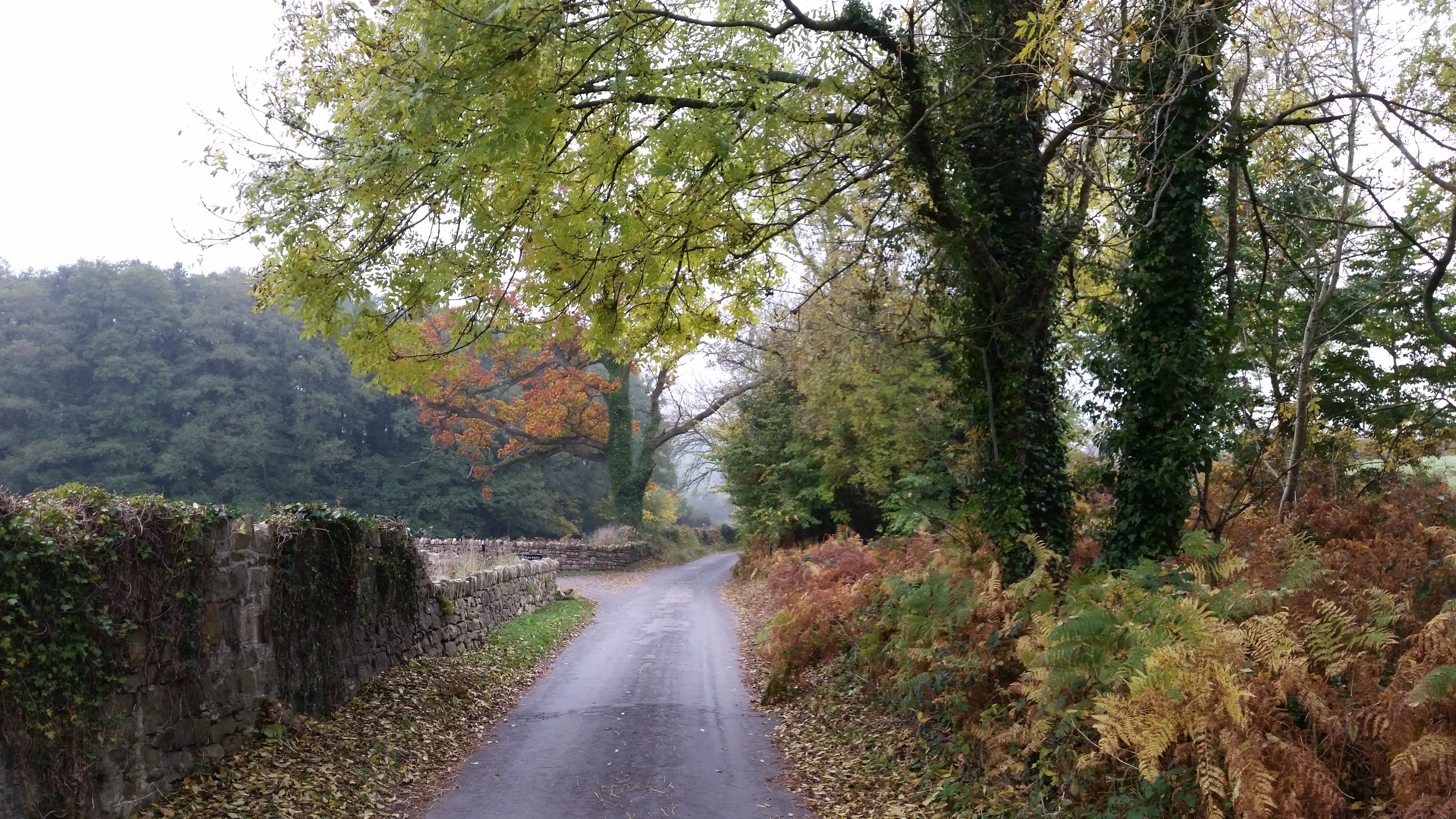 llangattock 12 nov 2016