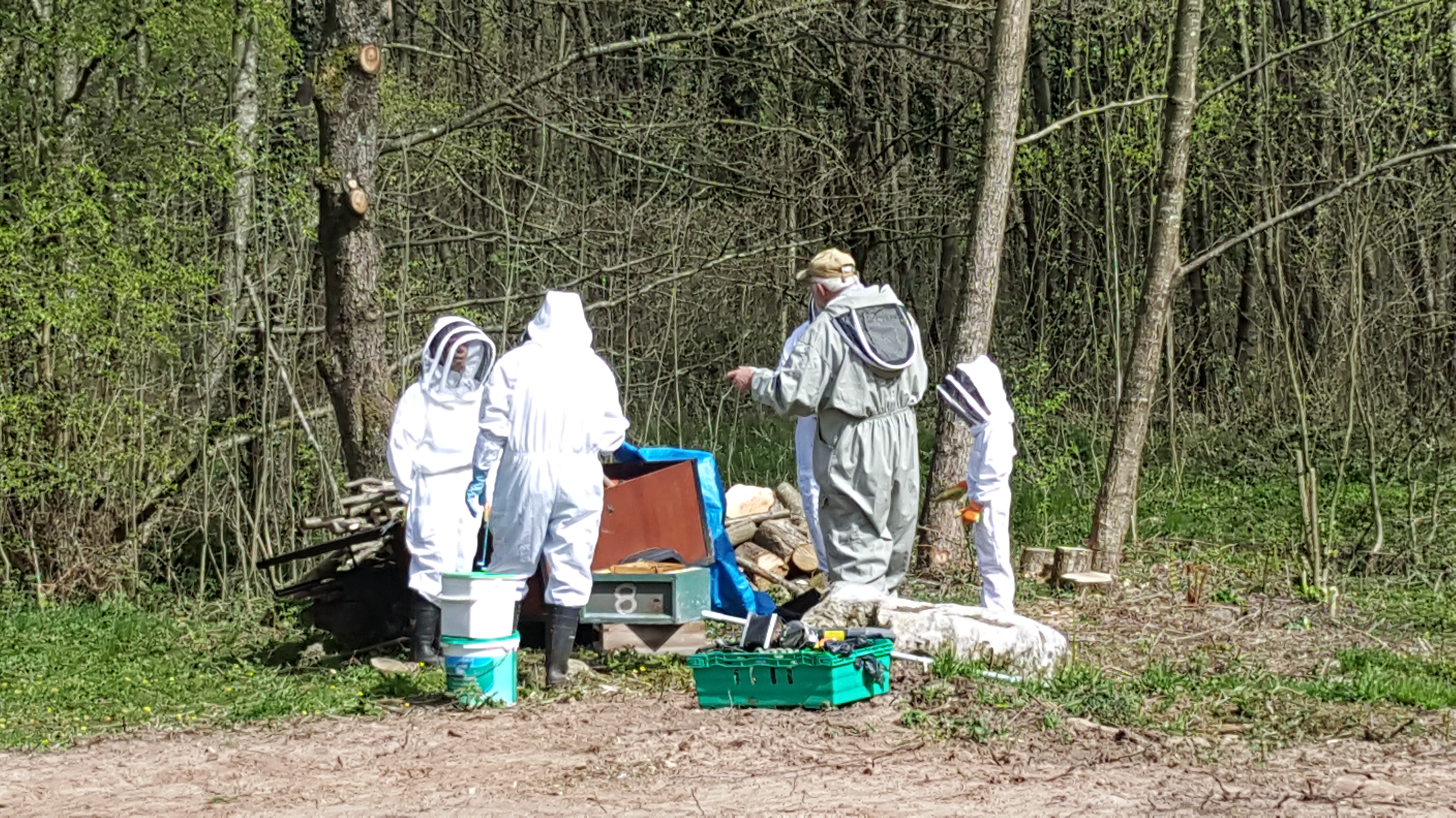 woodland 13 apr 2017